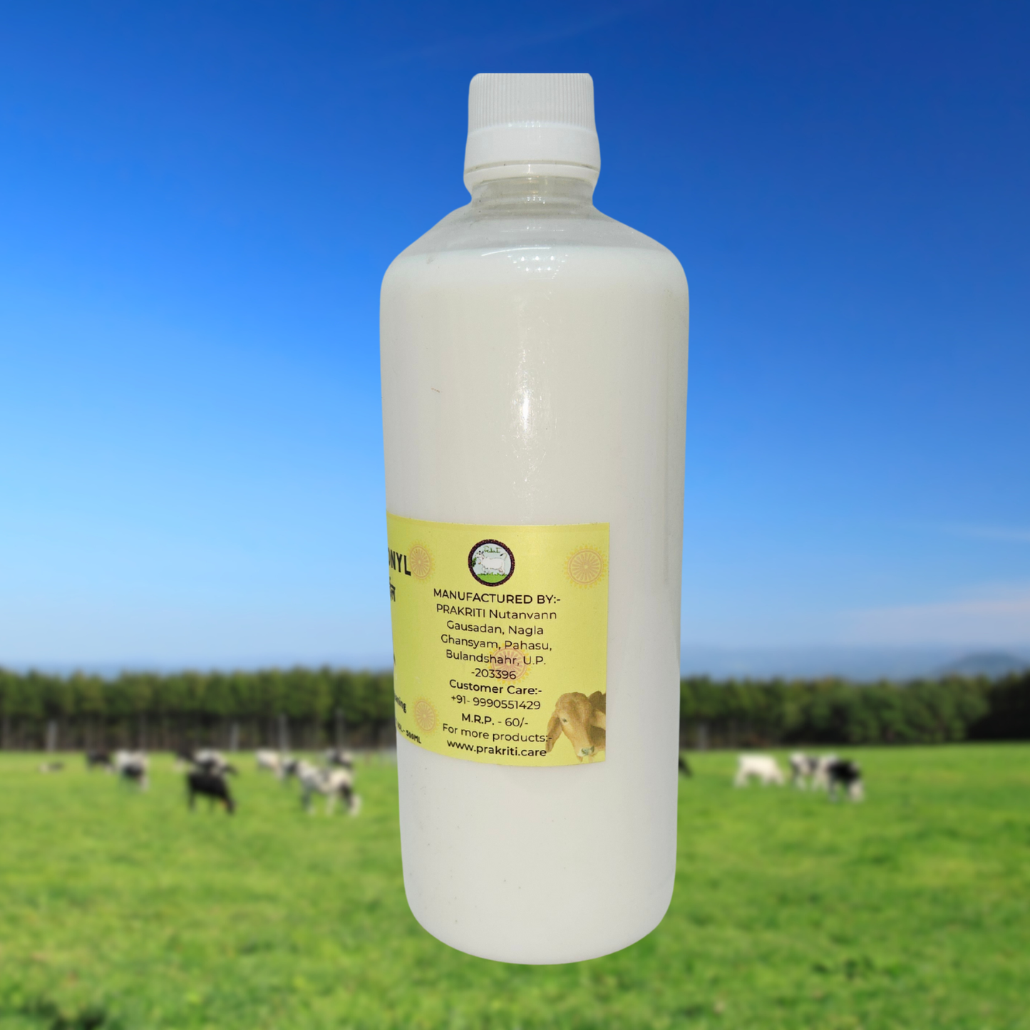 Ganesh Gomayl Floor Cleaner 500ml – Natural Herbal Cleaner with Gomutra Ark