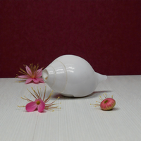 White Shankh