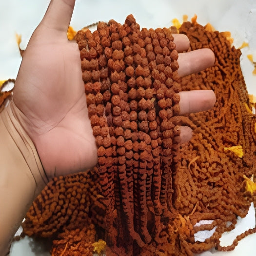 Rudraksha Mala Men/Women