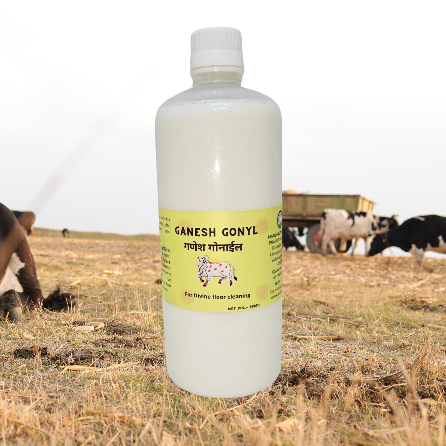 Ganesh Gomayl Floor Cleaner 500ml – Natural Herbal Cleaner with Gomutra Ark