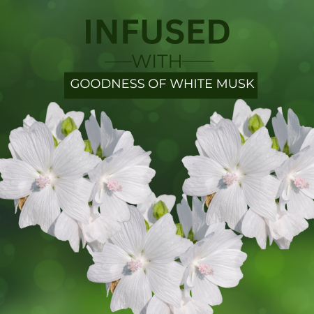 Khadi Satva White Musk Soap – Natural Skin Brightening & Refreshing Bar (125g)