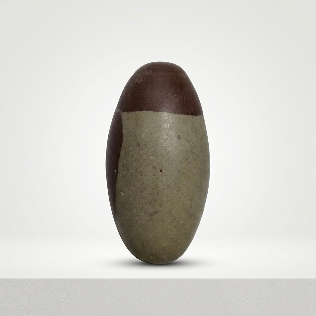 Adhunik Swadeshi Bhandar Original Narmadeshwar Shivling | Natural Narmada Stone Shivling for Pooja & Abhishek