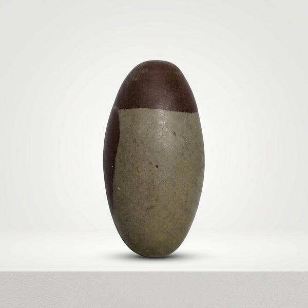 Adhunik Swadeshi Bhandar Original Narmadeshwar Shivling | Natural Narmada Stone Shivling for Pooja & Abhishek